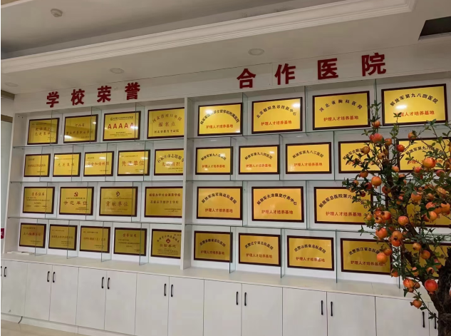 石家庄天使护士学校选择大于努力