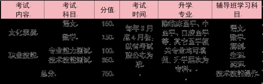 石家庄天使护士学校2024年医学类升学辅导班招生简章