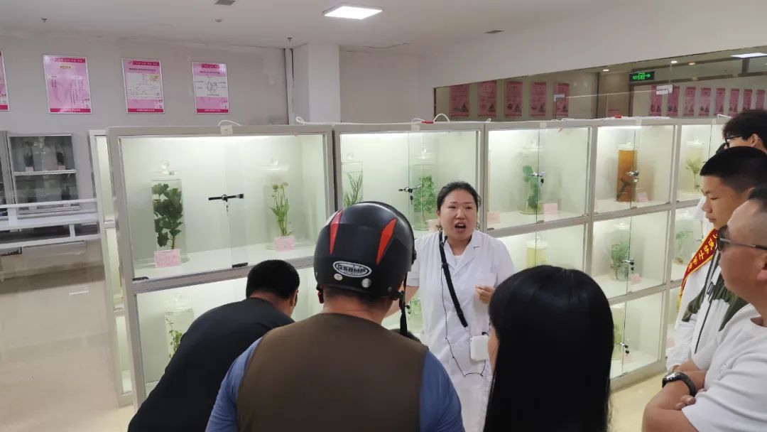 中考以后选择中药学专业好就业吗？石家庄哪个学校中药学好？