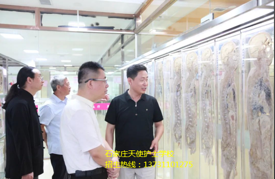 河北省医养结合促进会执行会长一行到石家庄天使护士学校考察交流