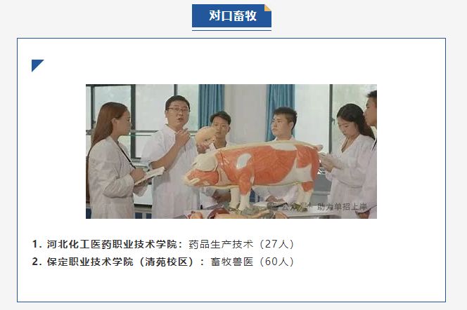 【志愿填报】2025河北单招院校新增专业（汇总版）