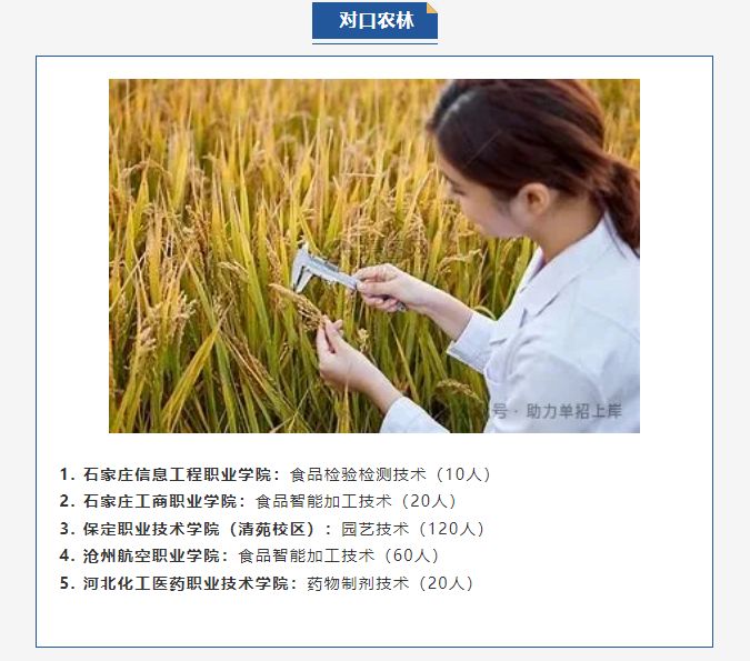 【志愿填报】2025河北单招院校新增专业（汇总版）