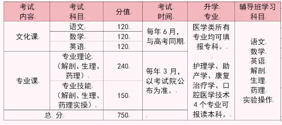 石家庄天使护士学校2026单招医学类复读班招生简章
