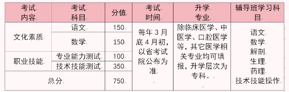 石家庄天使护士学校2026单招医学类复读班招生简章