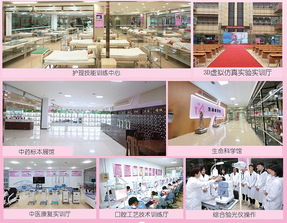 2025年秋季石家庄天使护士学校招生报考指南（招生简章）