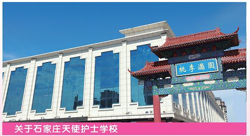 2025年秋季石家庄天使护士学校招生报考指南（招生简章）
